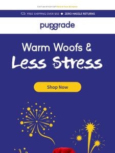 5 Ways to Keep Your Dog Stress-Free During Fireworks & Busy Holidays