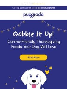 Thanksgiving Foods Your Dog Can Enjoy