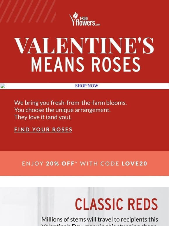 20% Off: You Can’t Go Wrong W/Roses