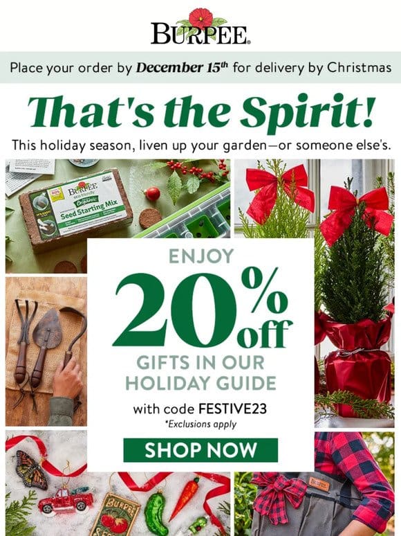 20% off our holiday gift guide items