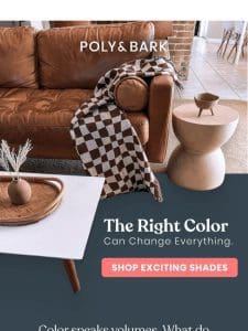 4 Color Trends to Expect In 2024!