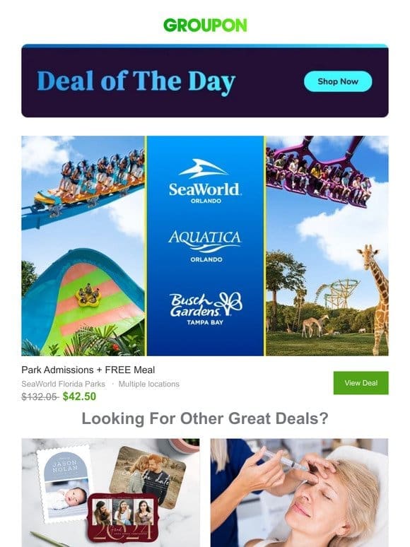 68% OFF ENDS TONIGHT! SeaWorld Florida Tickets + FREE Meal