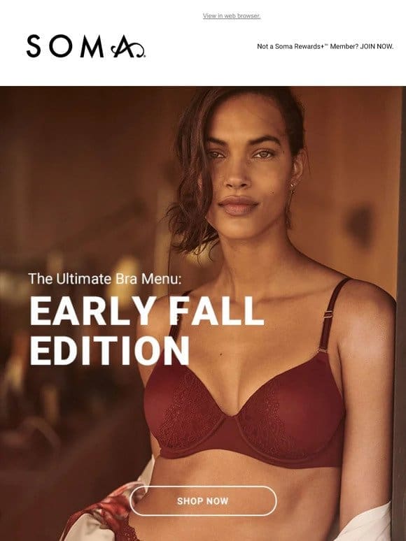 Beautiful Bras for Fall