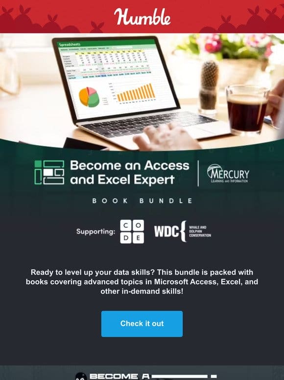 Become a data wizard with these books covering Access， Excel & more