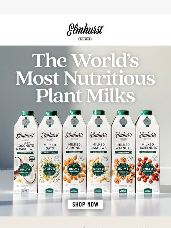 Best In Class Plant Milk