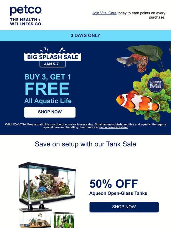 Big Splash Sale is LIVE!