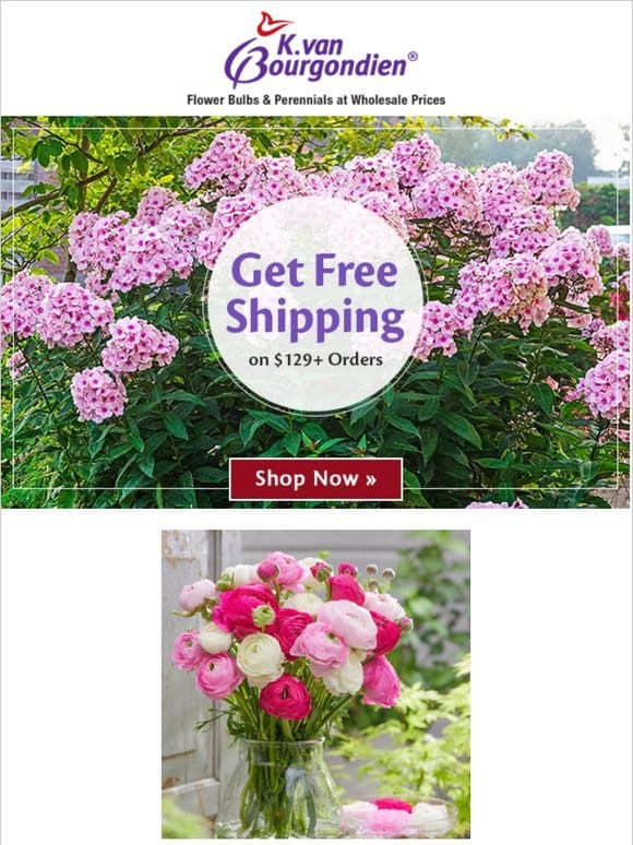 Bulk savings + free shipping = HUGE value