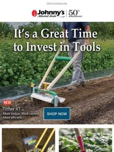 Buy Tools Now Before Year-End