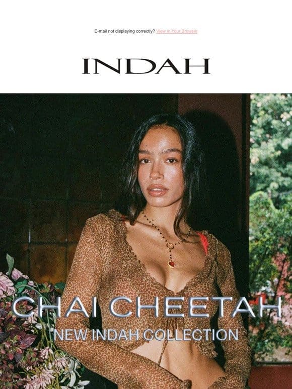 CHAI CHEETAH IS HERE