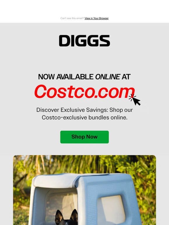 DIGGS is now available online at Costco.com!