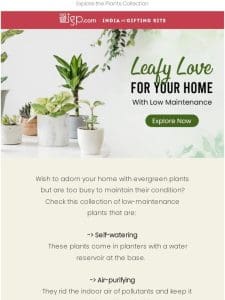 Decorate your home with these green curations!