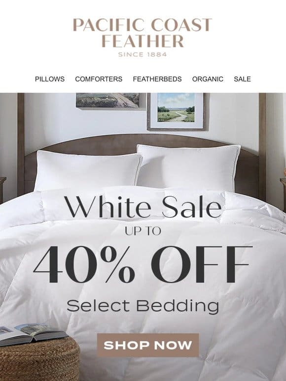 Discover Gorgeous Bedding now up to 40% OFF