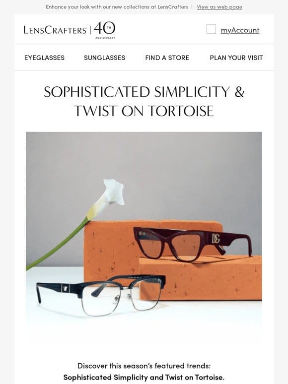Discover understated and contemporary frames