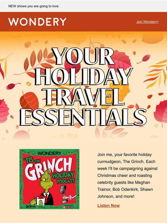 Don’t forget your holiday travel essentials!  ️