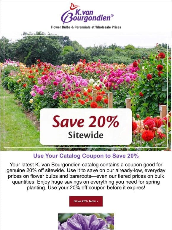 Don’t forget your money-saving catalog coupon!