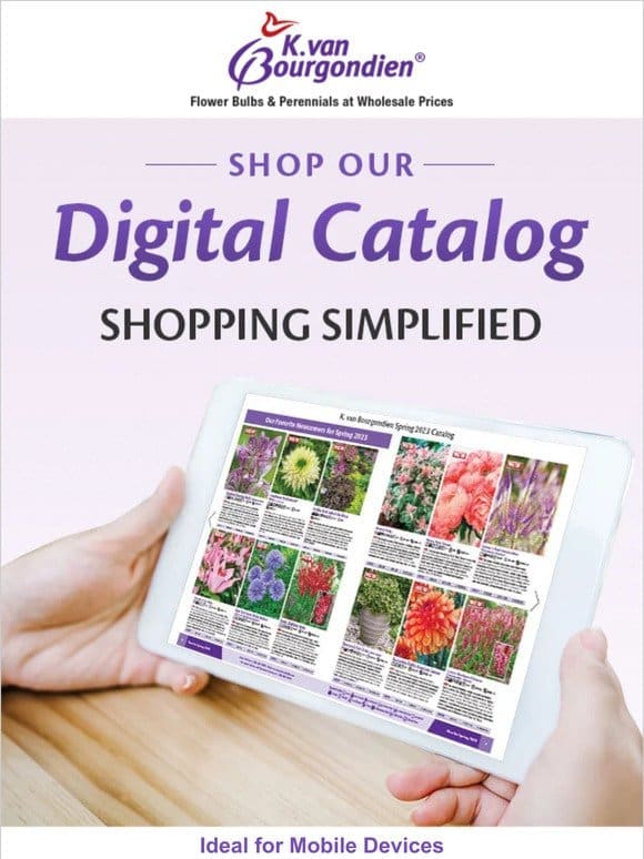 Electronically browse our latest catalog