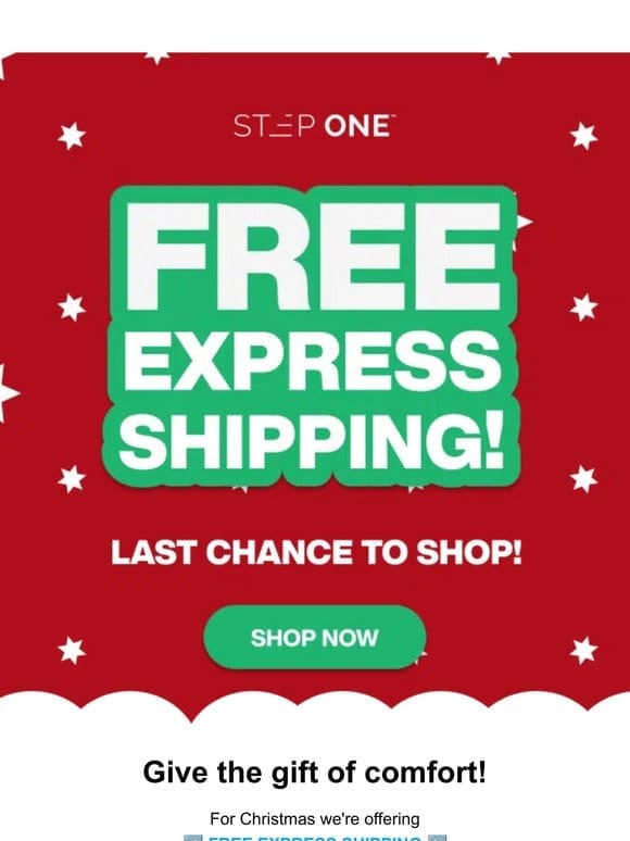 FREE EXPRESS SHIPPING ✈️