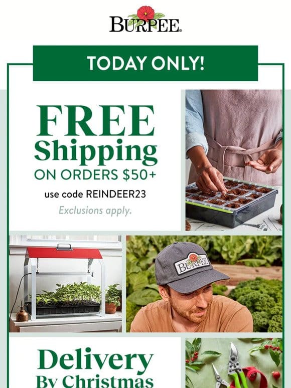 FREE Shipping Today