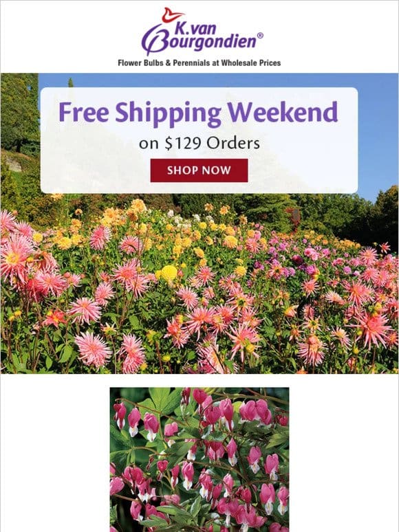 Garden Favorites Ship Free on $129 Orders!