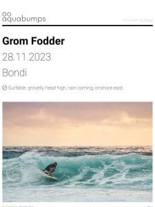 : : Grom Fodder