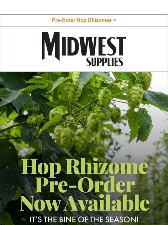 Grow Your Own Hop Flowers: Cascade， Centennial， and More!