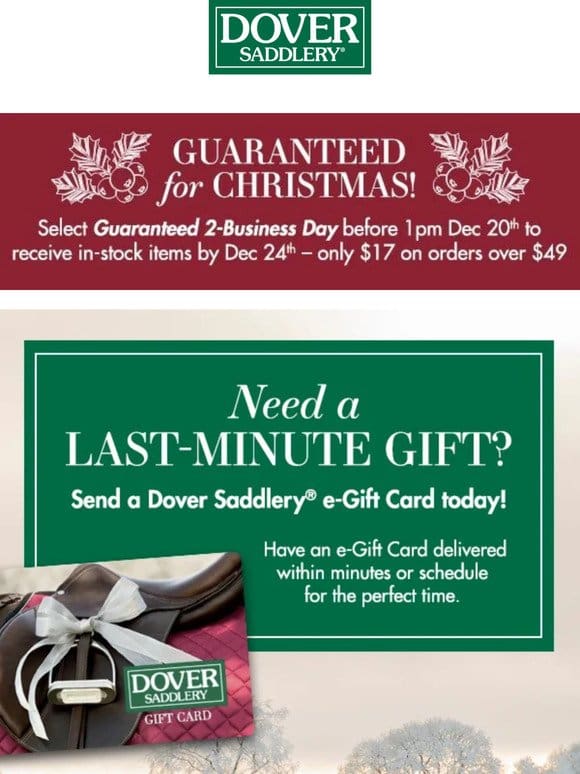 Holiday Savings for You & Your Horse