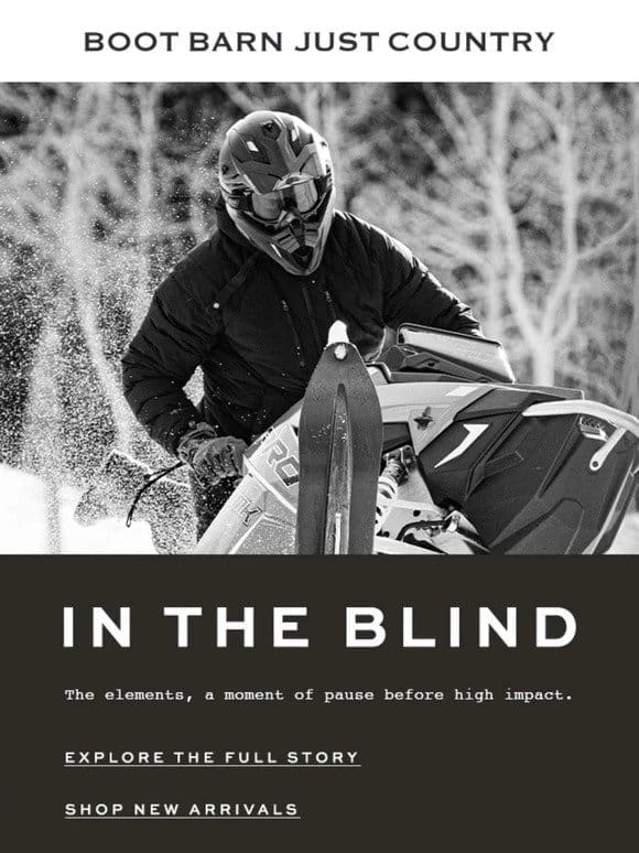 IN THE BLIND