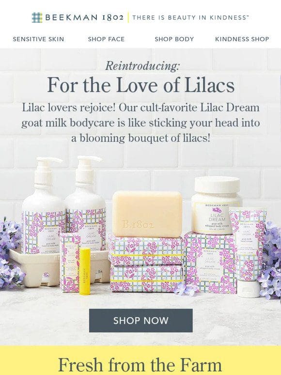 Just Launched: Lilac Dream Collection