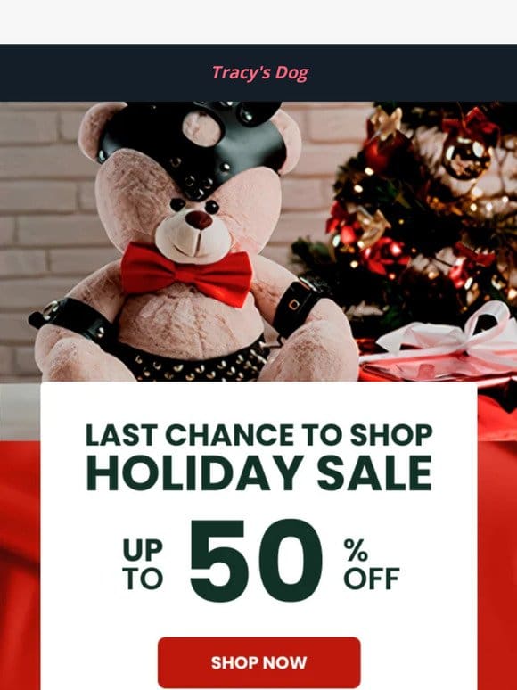 LAST CHANCE to shop our Holiday Sale