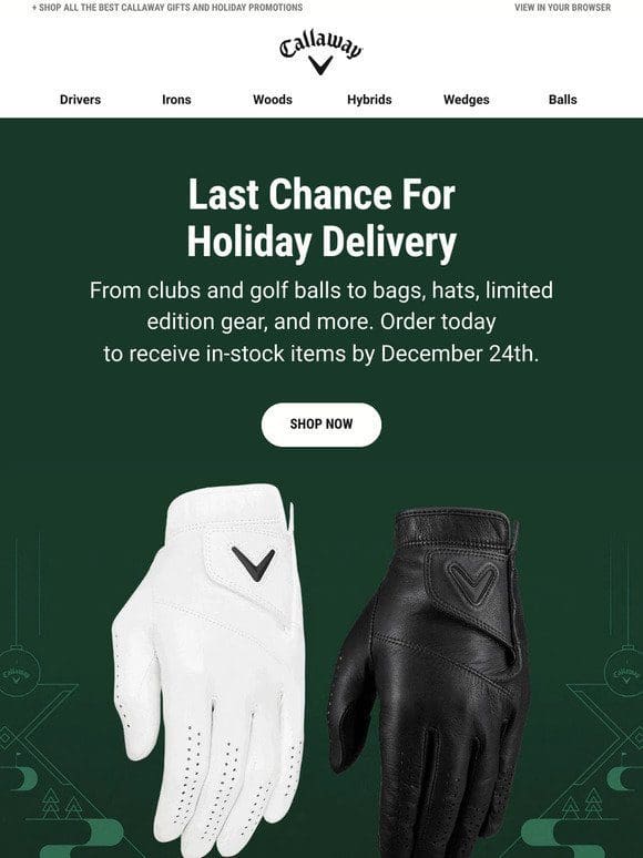 Last Chance! Order Today For Holiday Delivery