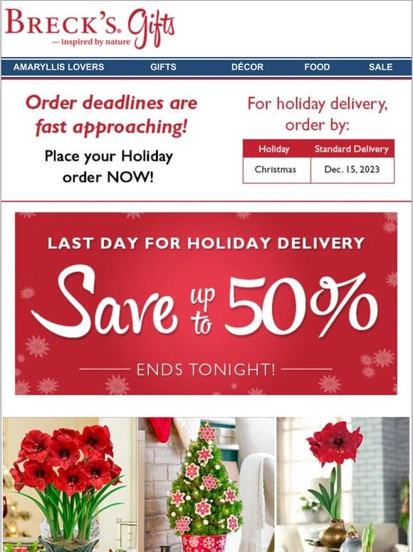 Last Chance for Standard Holiday Shipping