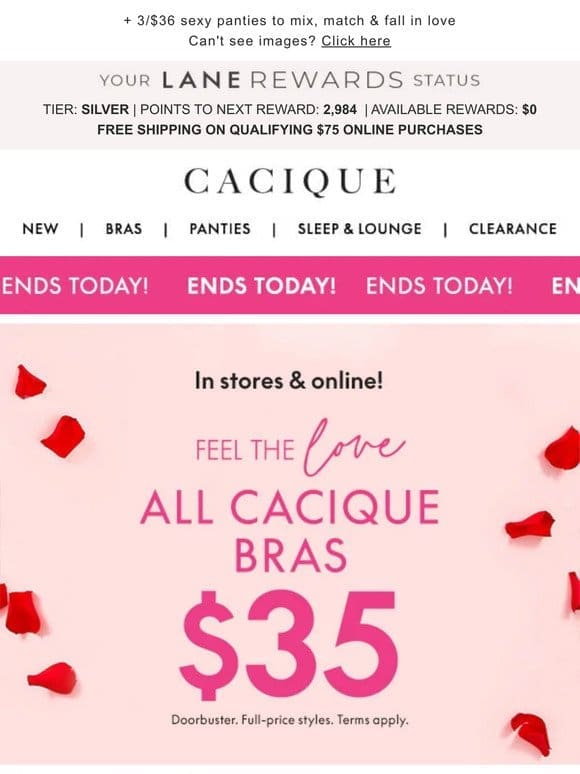 Last day! ALL CACIQUE BRAS $35