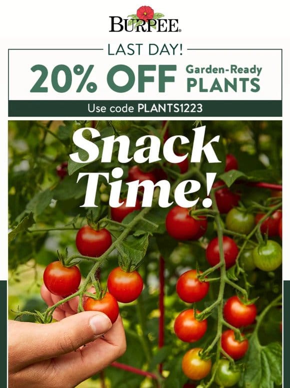 Last day for 20% off plants!