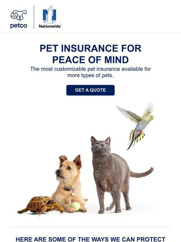 New! Petco | Nationwide Insurance. The next level in pet protection