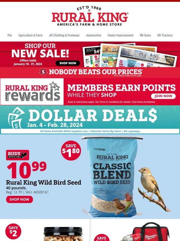 Nutty Savings: $2 Off RK Cashews + $10.99 Rudy Bird Seed & More Big Discounts Inside!