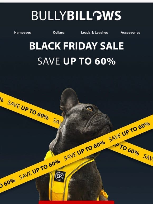 Our Black Friday Sale Is ON!