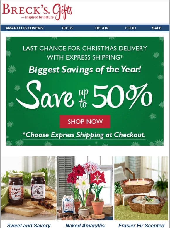 Over 50 gifts with a savings of up to 50%!