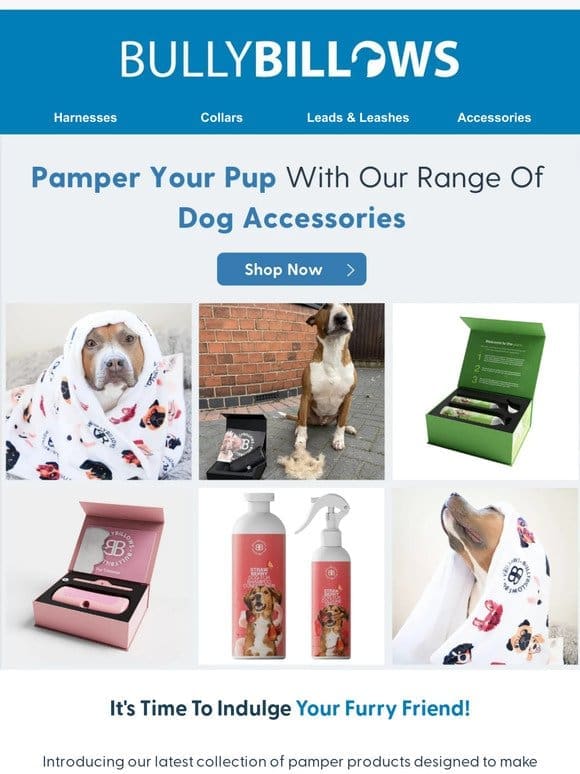 Pamper Your Pooch