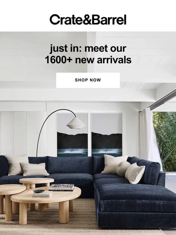 Ready to meet our 1600+ new arrivals?