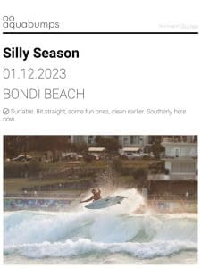 : : SILLY season