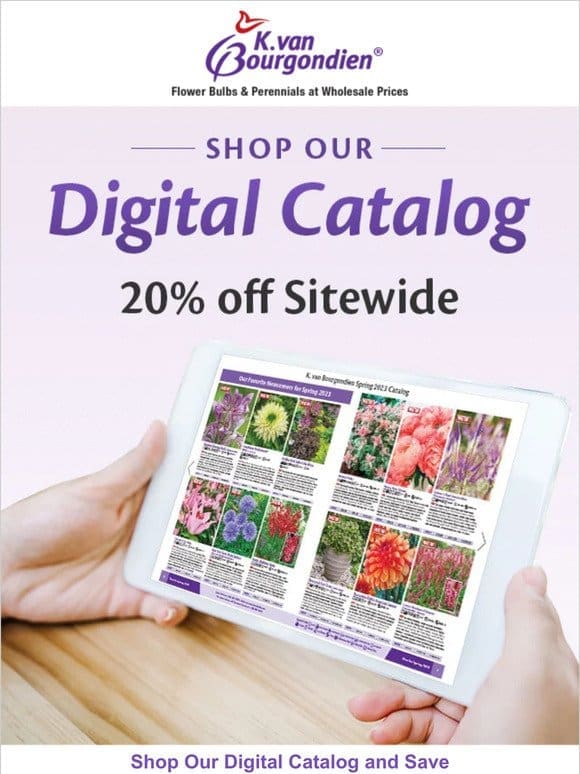 Save 20% when you order from our digital catalog