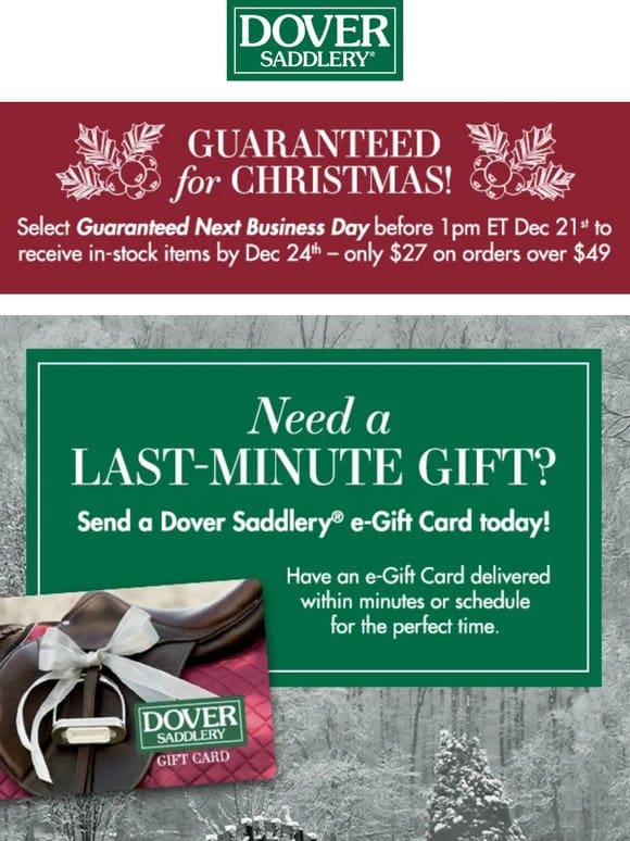 Schedule Your e-Gift Card to be Delivered at the Perfect Time