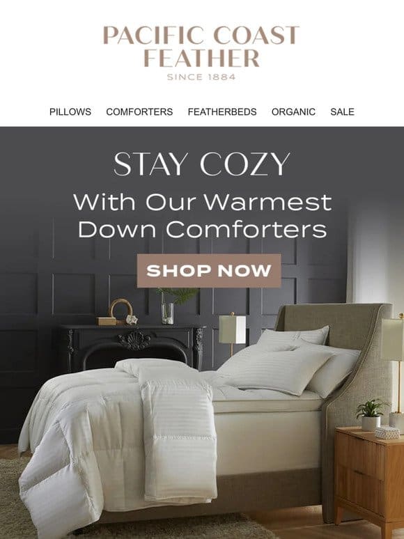 Shop Our Warmest Comforters