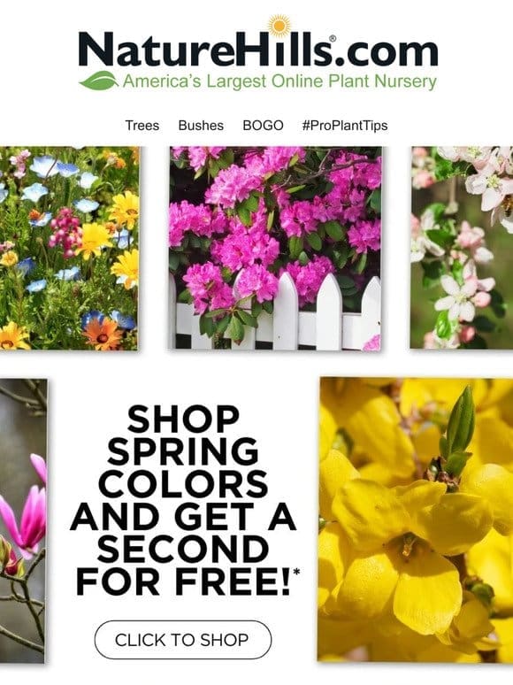 Shop spring colors and get a second FOR FREE!