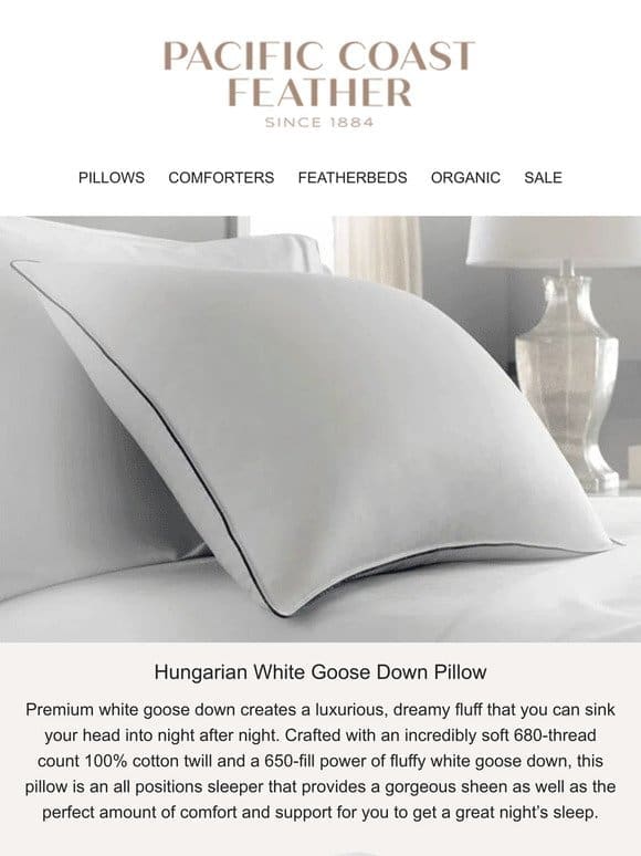 Sink Your Head Into The Incredibly Soft Hungarian White Goose Down Pillow