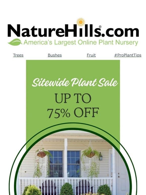 Sitewide Plant Sale Up To 75% Off! Every plant is on sale!
