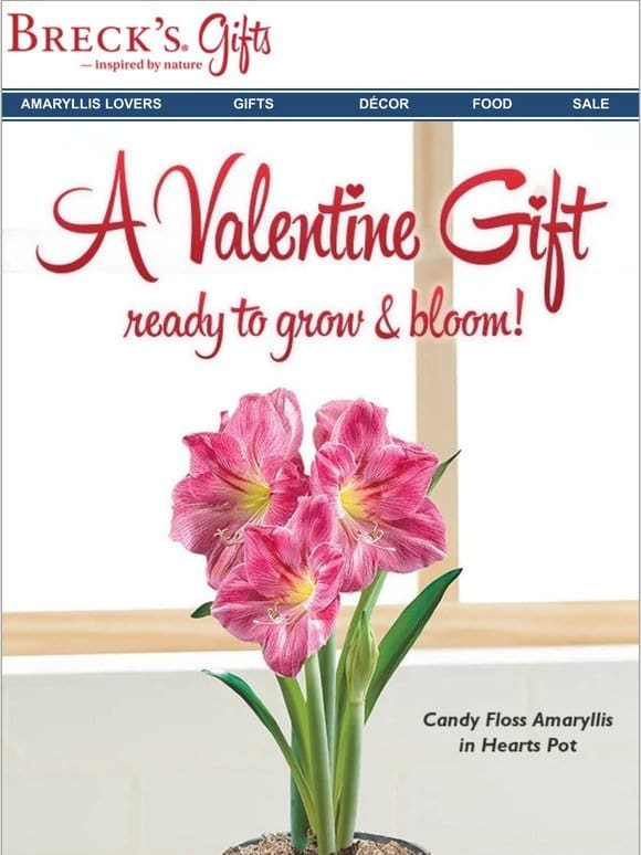 These Valentine gifts promise an early spring!