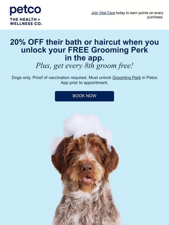Want 20% OFF your pet’s bath or haircut?