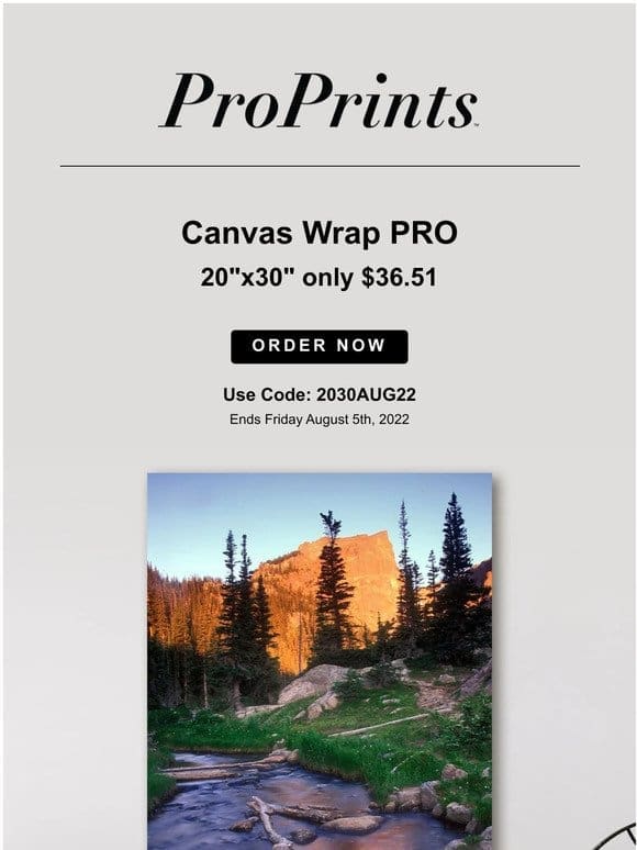 15% off 20×30” Canvas Wrap PRO