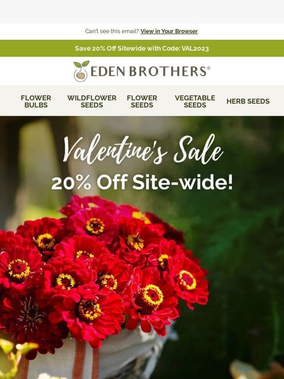20% Off—Treat Your Valentine!